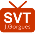 SVT Jérôme Gorgues cover art