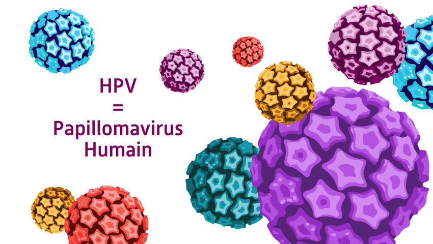 Les HPV, c’est quoi ? Comment t’en protéger ? : tout savoir sur le ...