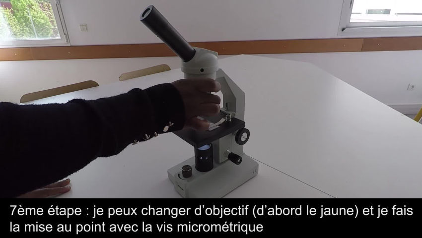 Activité 4 - Apprendre à utiliser un microscope optique. - SVT - collège  Condorcet