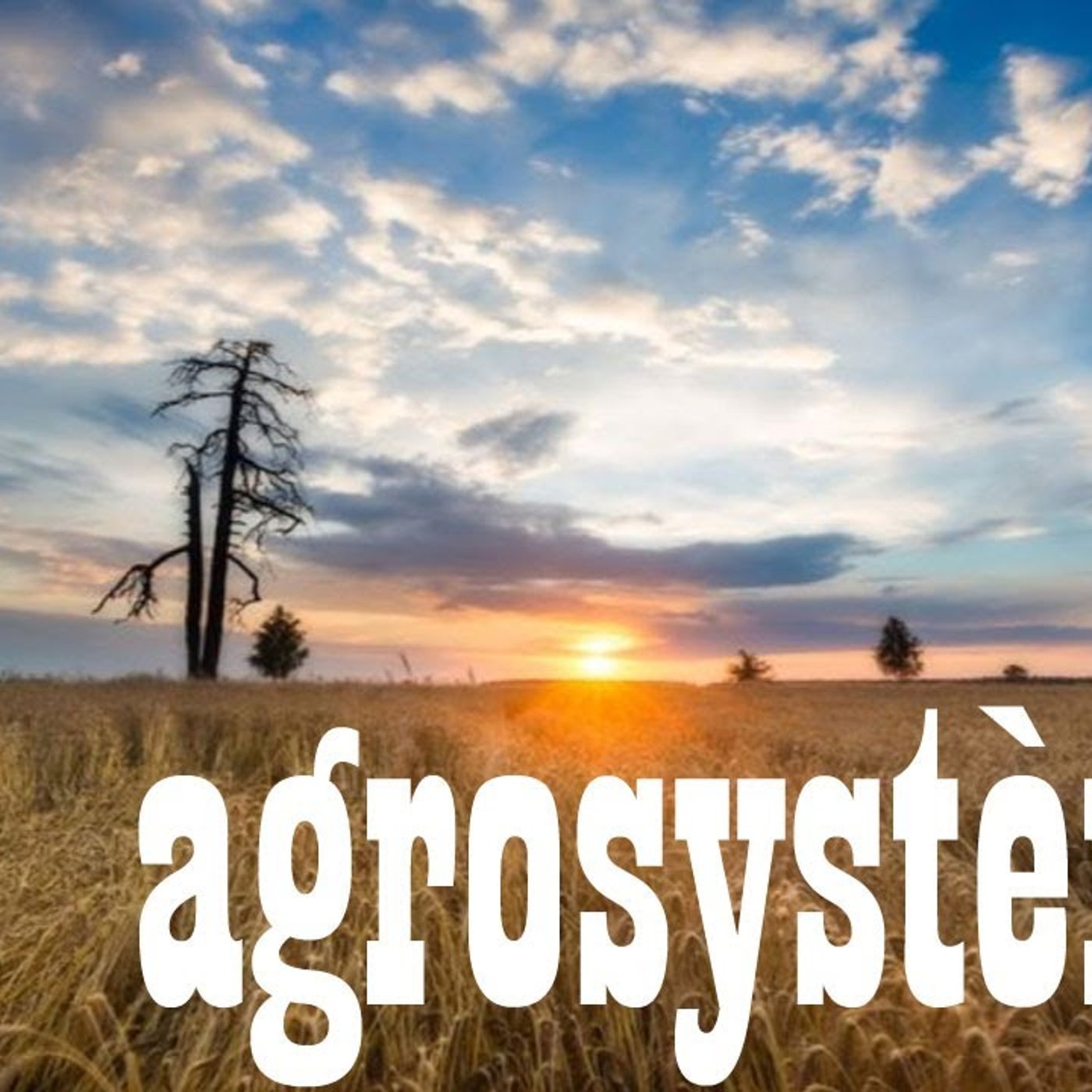 Capsule : "Les agrosystèmes" episode artwork