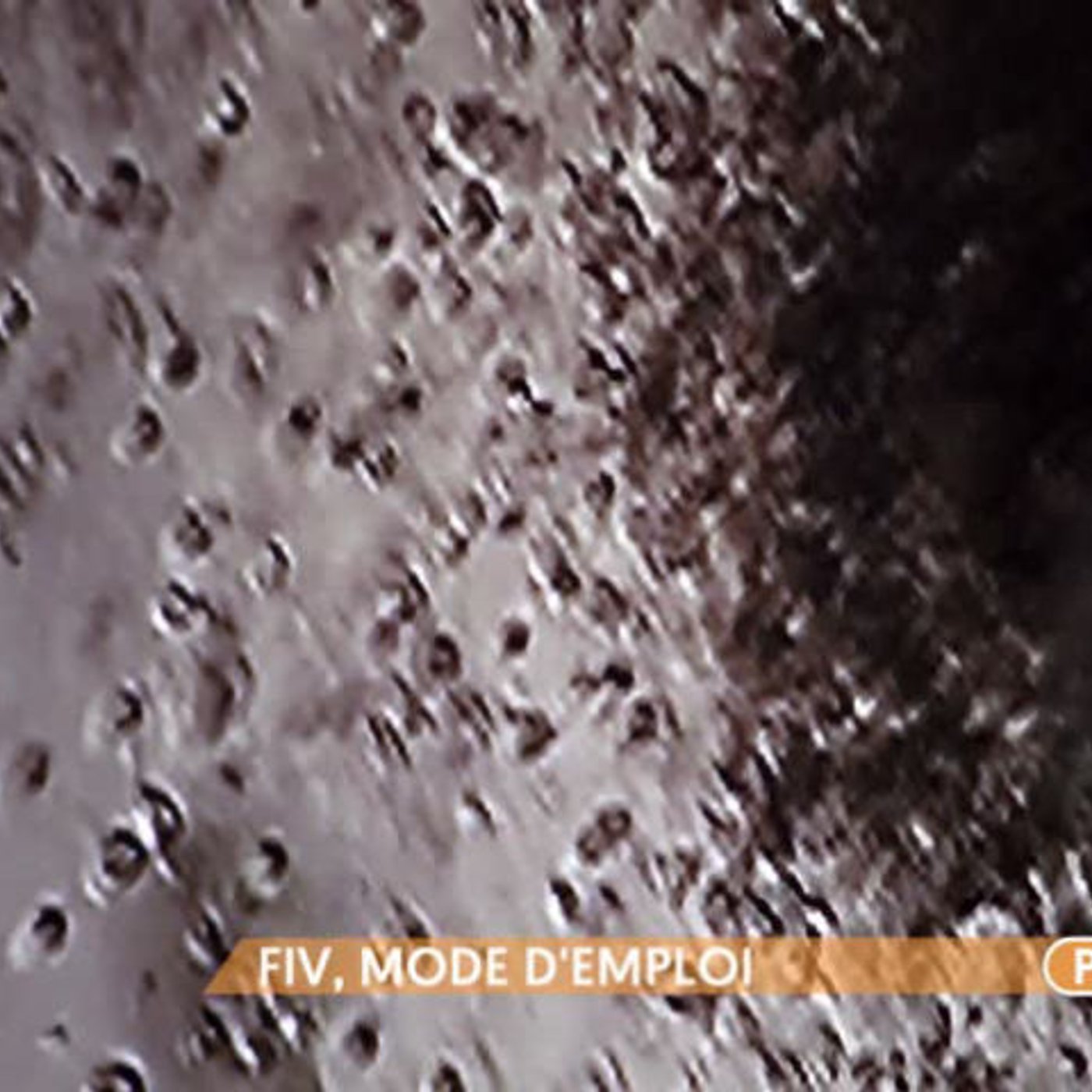 Fécondation in vitro : mode d'emploi - La Maison des Maternelles #LMDM episode artwork