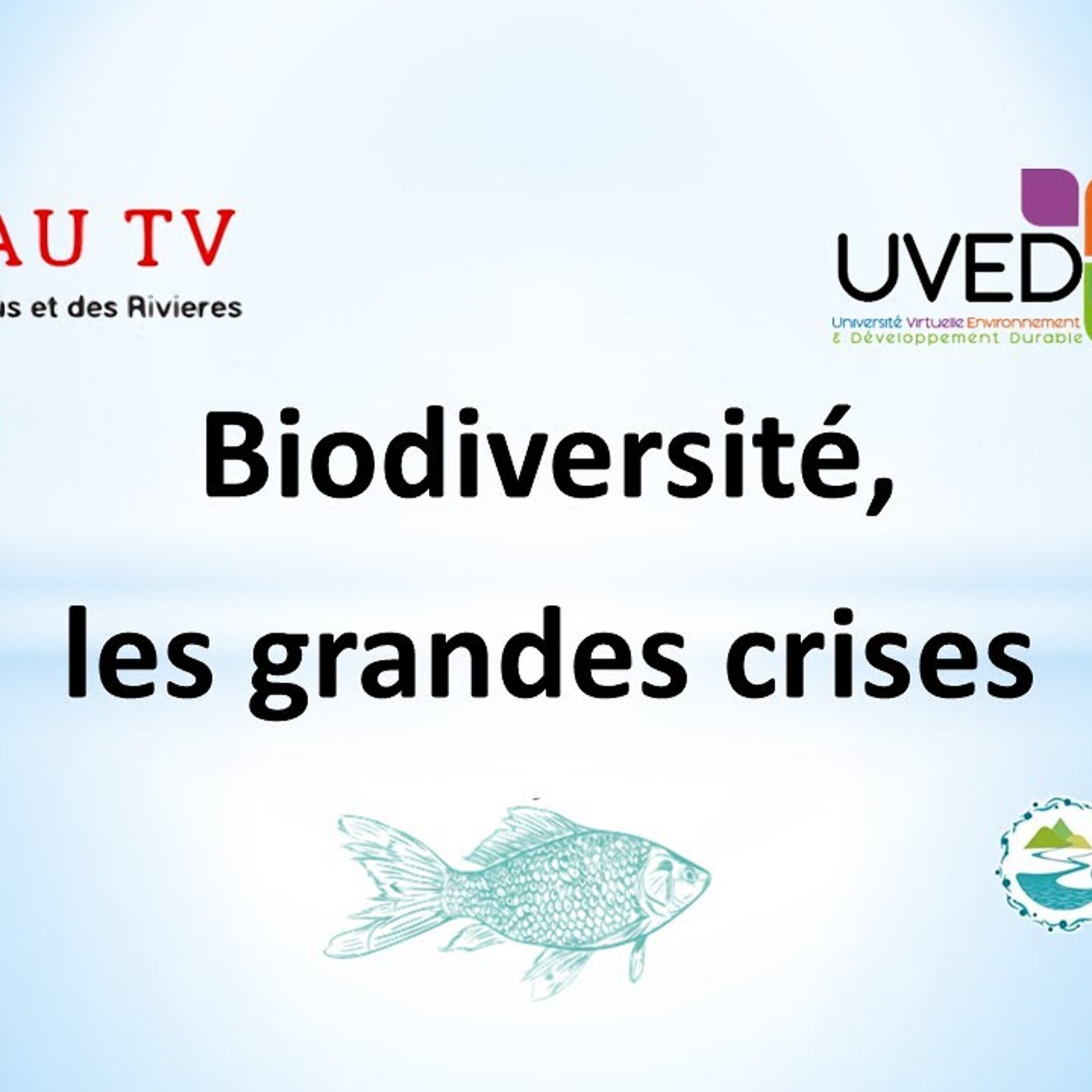 Les grandes crises de la biodiversité episode artwork